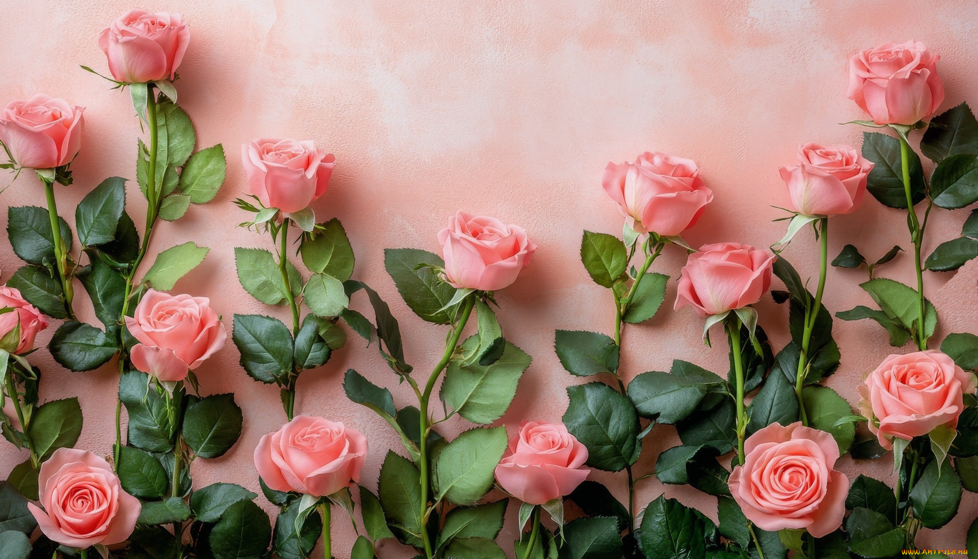 3 ,  , flowers, 